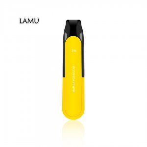 Izi Max Disposable Vape Pen 5000puffs new private tooling